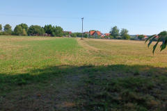 image002