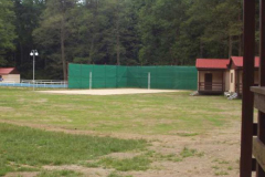 146